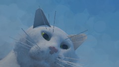 Funi