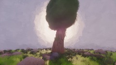 Lonely tree