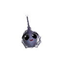 dansodre2