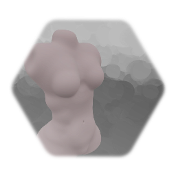 body torso
