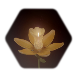 Magic Flower Animation