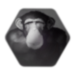 The last Chimpanzee