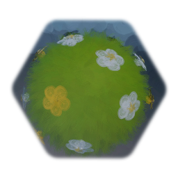 White and yellow flower shrub