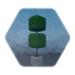 2 Cube Topiary in pot