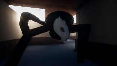 Aranea membri Footage