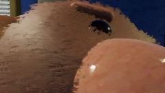 Baer Memes