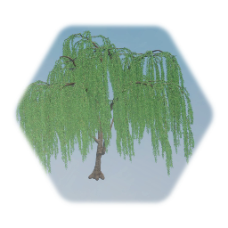 Weeping Willow Tree Realistic
