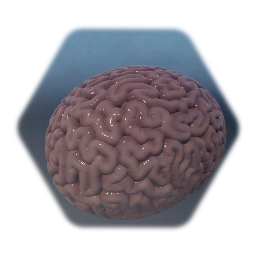 Brain