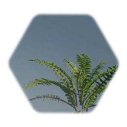 Community Garden 2.3: Dear Fern