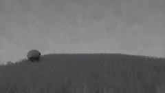 Kirby video vegetable valley