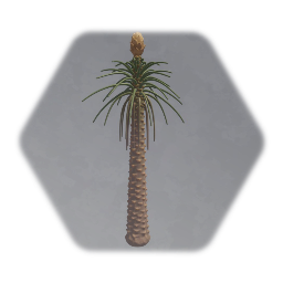 Pleuromeia (prehistoric)