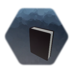 Book (leather bound)