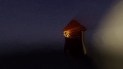 A screenshot taken in Dreams. 8 of 30.