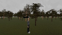 <term>SIREN HEAD MAP