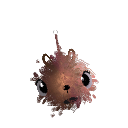 LocoLobster06