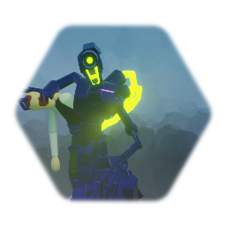 OBSERVER