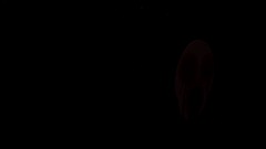 My jolly Creation - 12/5/2012