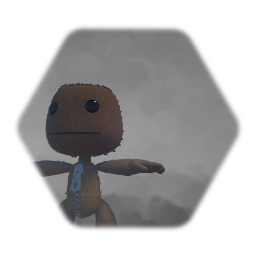 Sackboy