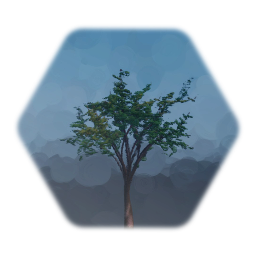 Simple Mountain Bush