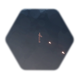 Top Down Camera