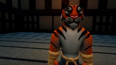 Master Tiger Character Showcase