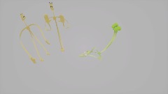 Banaman sad cat dance meme