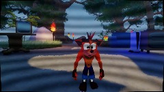 Crash adventure island