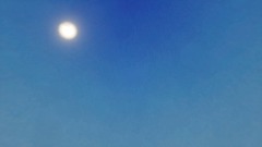 LWIAY Theme Song - PDP