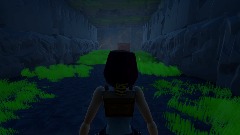 Tomb Raider Adventure