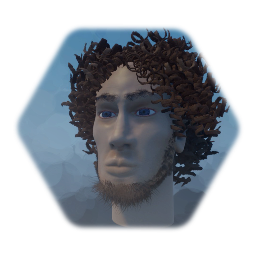 Male Head 1