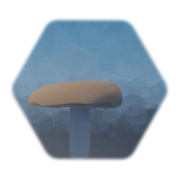 Mushroom - 5/11/2019