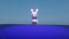 Rabbid test
