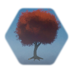 Autumn Tree