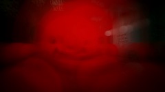 Hunting Rode But did they ask