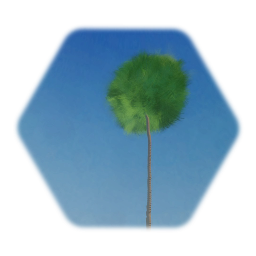 Arbre au vent.