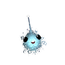 SPINJASTAR