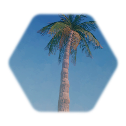 Dryreefs HD palm tree