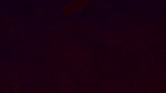 Friendbot the mouse tramp