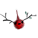 Jacieus2Raw