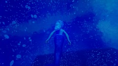 Under the Sea