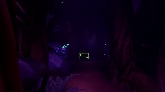 The Forest of Anomaly's