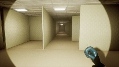 Level 0