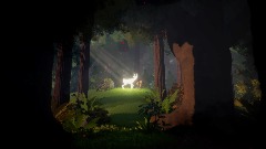 The Bewildering Woods