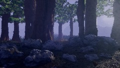 Early morning at Estrela