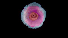 A screenshot taken in Dreams. 17 of 30.