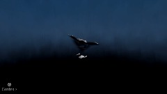A screenshot taken in Dreams. 4 of 4.