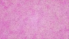 Mi creación - 29/12/2025