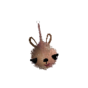 Peppa_raimbow