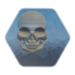 Skull