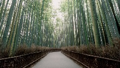 A screenshot taken in Dreams. 5 of 5.